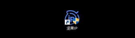 坚果ip软件下载